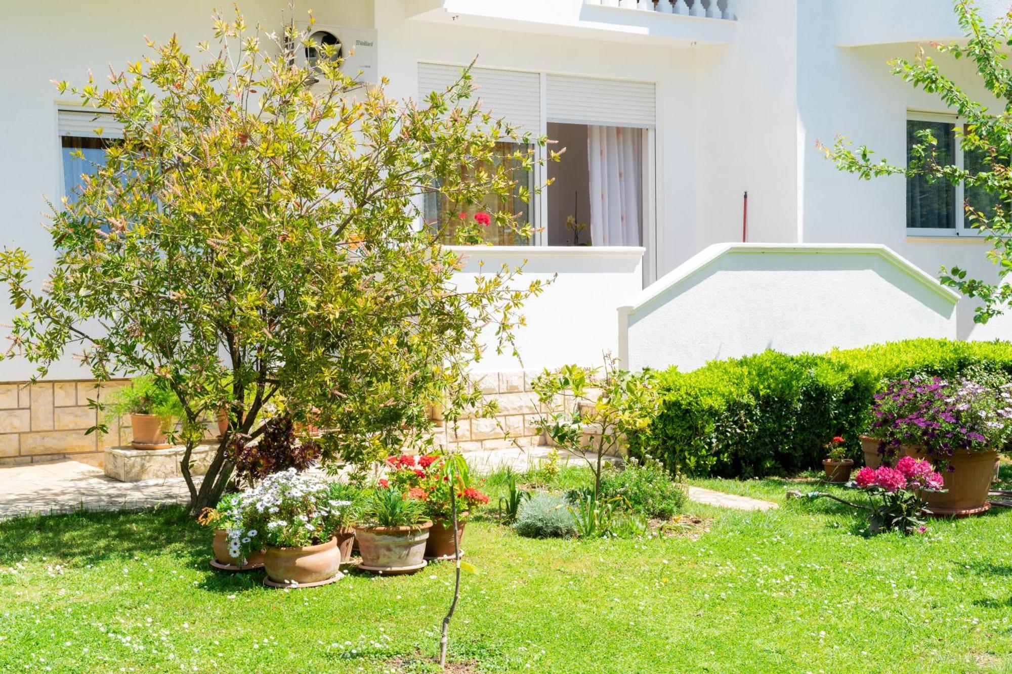Apartment Manda زادار المظهر الخارجي الصورة