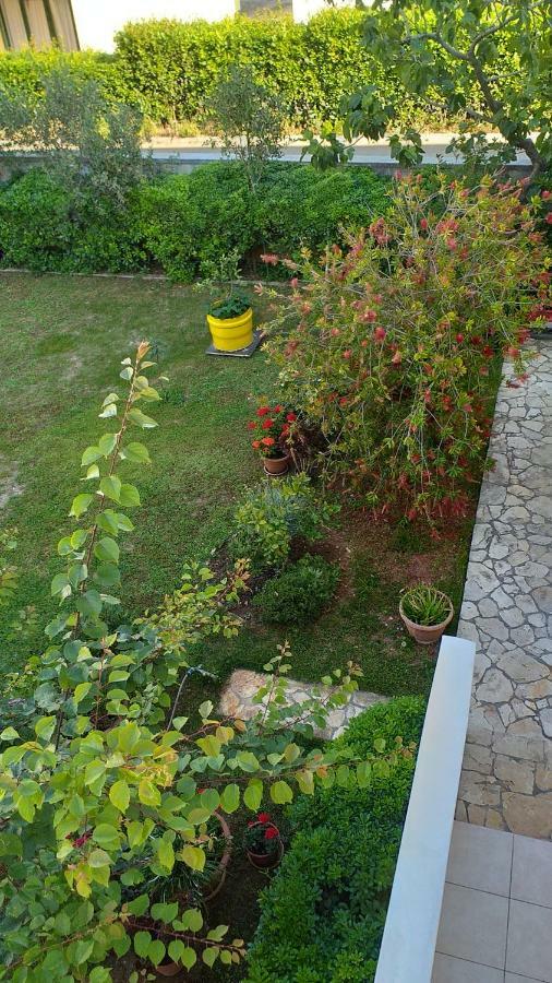 Apartment Manda زادار المظهر الخارجي الصورة