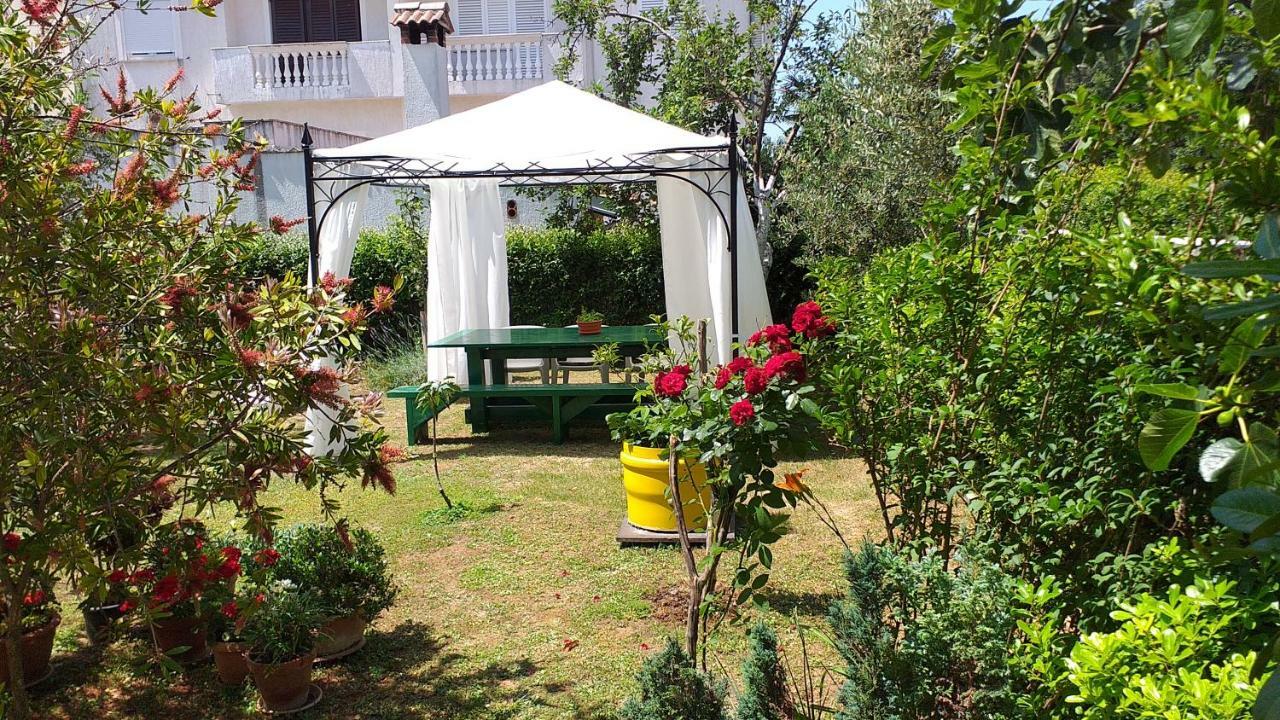 Apartment Manda زادار المظهر الخارجي الصورة